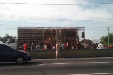 ¡HAY HAMBRE! Saquearon un camión de pollos vivos en Valencia