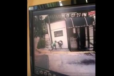 ¡UN HORROR! Delincuentes golpearon a una joven porque no soltaba el celular (+Video)