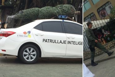 ¡EL COLMO! La GNB compra su arbolito de Navidad y lo traslada en patrulla inteligente (+Fotos)