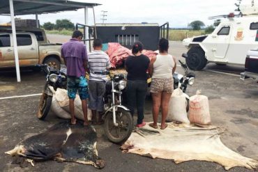 ¡DESASTRE! Detenidas 4 personas por robar caballos y vacas para vender la carne en Guárico