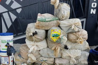 ¡OTRA RAYA MÁS! Encuentran embarcación con matrícula venezolana durante incautación de droga en Puerto Rico