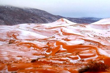 ¡AUNQUE USTED NO LO CREA! Cayó nieve en el desierto del Sahara (+Fin de mundo +Fotos)