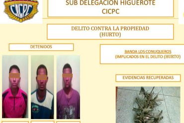 ¡LOS «JUEGOS DEL HAMBRE»! Cicpc detuvo a tres hombres en Higuerote por robar dos raíces de yuca (+ Tuits)