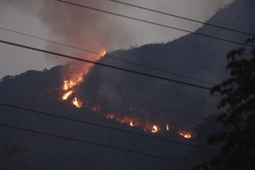 ¡GRAVE! Cinco hectáreas de vegetación fueron consumidas en El Ávila por incendios