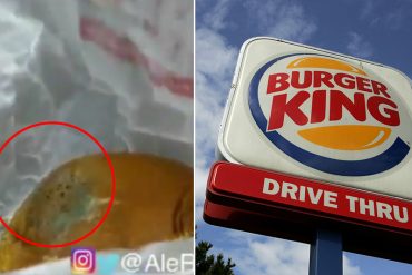 ¡ASQUEROSO! En un Burger King de Valencia sirvieron esta hamburguesa verde y con hongos (+Video)