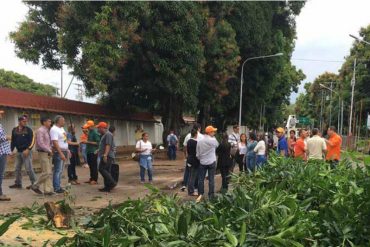 ¡QUÉ HORROR! A tomatazos presuntos oficialistas atacaron en Barinas a mujeres VP
