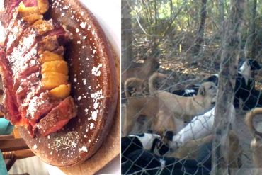 ¡DANTESCO! Matadero ofrecía «carne de perro» a restaurantes en Táchira (decían que era de chivo)