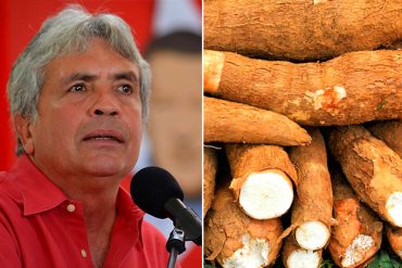 ¡ENLOQUECIÓ! Según Castro Soteldo, hay una “campaña contra la yuca” del pueblo (+Video)