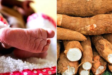 ¡ATENCIÓN! Intoxicado niño de un año tras comer yuca amarga en Los Teques