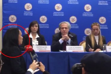 ¡BOCHORNO! Representante de Venezuela interrumpió rueda de prensa de Almagro con Tintori (+Video)