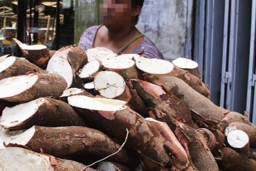 ¡QUÉ PELIGRO! Madre y sus cinco hijos menores de edad se intoxicaron tras comer yuca amarga en Monagas