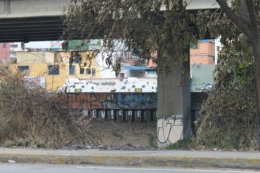 ¡ATENCIÓN! Cinco “rinocerontes” frente al comando de campaña de Henrique Capriles