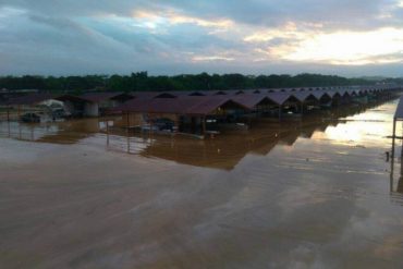 ¡TE LO MOSTRAMOS! Así de inundado quedó el Aeropuerto Metropolitano de Charallave tras el paso de la tormenta Bret (+Fotos)