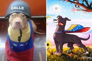 ¡UN PELUDO COMPROMETIDO! Este es el perro que se unió a la resistencia tras el vil asesinato de Cross