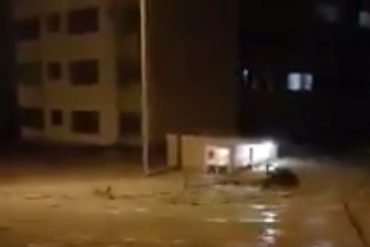 ¡URGENTE! Desborde de la quebrada Charallave generó fuerte inundación en Miranda (+Video)