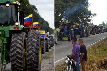 ¡NO SE LA PIERDA! La impresionante vista aérea del mega tractorazo de los agricultores en Portuguesa (+Video)