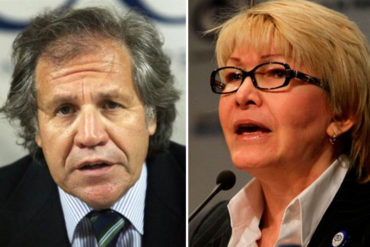 ¡ASÍ LO DIJO! Almagro:»Denuncia de Ortega Díaz fortalece el proceso en la OEA»