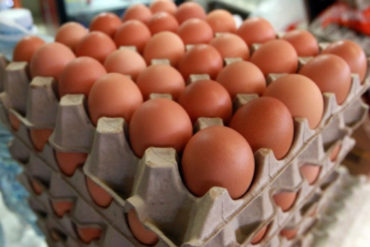 ¡ATENCIÓN! Aseguran que el precio de los huevos está anclado al dólar