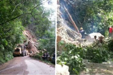 ¡TE LO MOSTRAMOS! Los videos más impresionantes del horror que vivieron en Choroní tras desbordamiento del río Las Mercedes