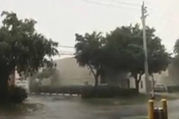 ¡VEAN! Habitantes de Coral Gables comienzan a sentir las primeras ráfagas de Irma en Florida  (+Videos)