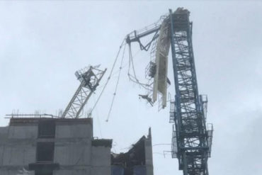 ¡QUÉ MIEDO! Enorme grúa cayó sobre un edificio en construcción en Miami por fuertes vientos de Irma