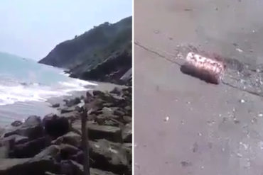 ¡SORPRENDENTE!  El extraño “fenómeno natural” que tragó el agua de una playa en Vargas (+Video)