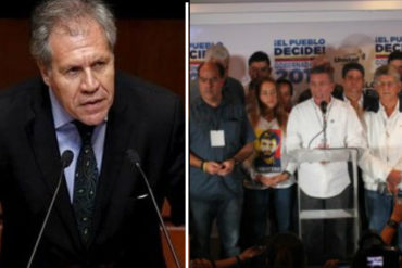 ¡AQUÍ ESTÁN! Las 8 puntas de Almagro a la MUD tras el «fraude»: Los cuestiona por «ir a elecciones sin garantías»