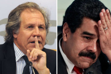 ¡ASERTIVO COMO SIEMPRE! Luis Almagro: “Sanciones a funcionarios en Venezuela debe incluir a familiares” (+Video)