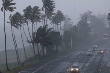 ¡QUÉ MIEDO! Advierten presencia de cocodrilos por el paso de tormenta tropical Nate en Costa Rica (+Fotos)