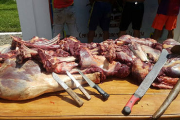 ¡COMO LO LEE! Denuncian aumento en venta de carne de caballo en Delta Amacuro