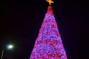 ¡NO HAY PRIORIDADES! A pesar de las fallas eléctricas, en Carabobo encendieron un mega árbol de Navidad