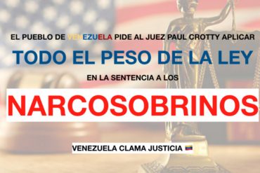 ¡A DESTACARSE! Venezolanos pueden firmar carta para pedir «todo el peso de la ley» contra narcosobrinos (+link)