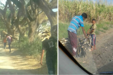 ¡EL CAOS AVANZA! Saquean una central azucarera en Aragua (VIDEOS)