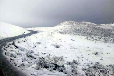 ¡HERMOSA VENEZUELA! La carretera de Pico El Águila en el Páramo Merideño se vistió de blanco