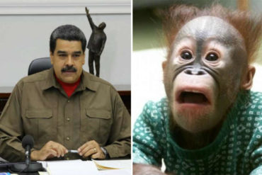 ¡CARA E’ TABLA! Las 7 frases descaradas de Maduro durante el Consejo de Ministros