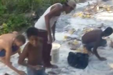 ¡MISERIA EN REVOLUCIÓN! Se volteó un camión de harina PAN y la gente recogió las sobras del concreto (VIDEO +HAMBRE)