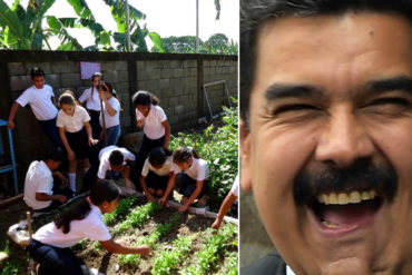 ¡LA NUEVA IDEA! Maduro pide impulsar «conucos» en las escuelas para superar rentismo petrolero (+Por favor)