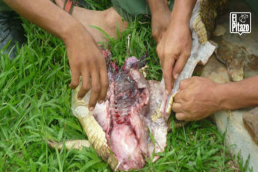 ¡CRISIS EN LOS CUARTELES! Familiares de soldados denuncian a ONG de La Guajira que los muchachos pasan hambre en los cuarteles