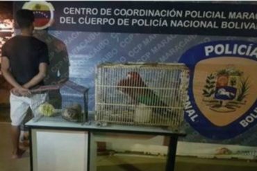 ¡EL COLMO! Detuvieron a un hombre por hurtar animales del Zoológico de San Francisco, estado Zulia