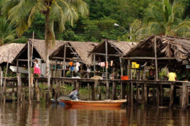 Amenazaron de muerte a una comunidad warao en la selva del Delta Amacuro