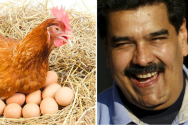 ¡EL COLMO! Maduro llama a los venezolanos a producir huevos en sus casas: «Cilia y yo lo hacemos» (Video)