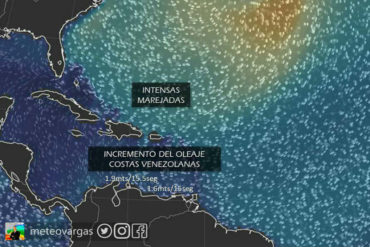 ¡ATENTOS! Este #7Mar se mantiene oleaje de hasta dos metros de altura en Vargas (duran más de 15 segundos en el aire)