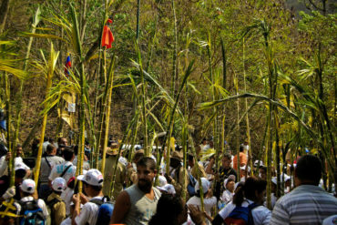 ¡TRADICIÓN! Palmeros de Chacao marcan inicio de la Semana Santa este sábado #24Mar