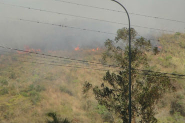 ¡LO ÚLTIMO! Reportaron fuerte incendio forestal cerca de Zoológico de Caricuao (+Fotos)
