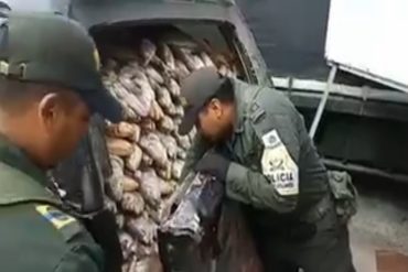 ¡LO ÚLTIMO! Decomisaron pescado venezolano en malas condiciones en frontera con Colombia (+Video)