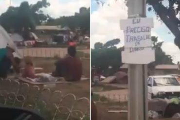 ¡LAMENTABLE! Venezolanos en Boa Vista duermen en carpas y piden comida con carteles (están pasando roncha)