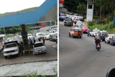 ¡INDIGNANTE! Por tercer día consecutivo se registran kilométricas colas en Táchira por comida y gasolina (+Fotos)