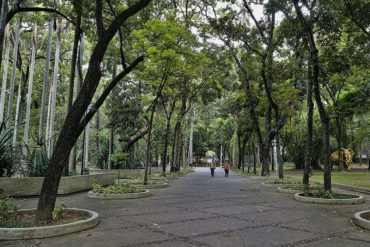 ¡GRAVE! Reportaron ataque de abejas en el parque Los Caobos y sus adyacencias (visitantes fueron desalojados) (+Video)