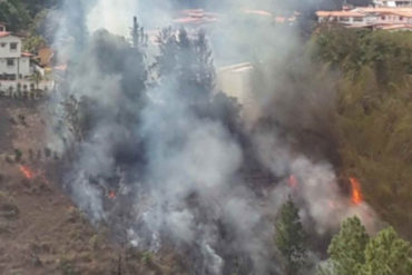 ¡VEA! Vecinos de Manzanares llevan más de 24 horas afectados por incendio en los alrededores (+Fotos)