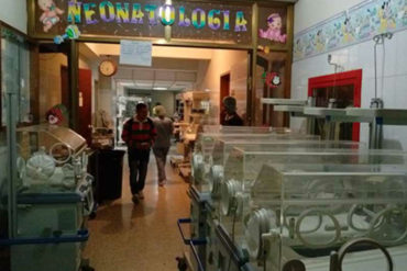 ¡IMPACTANTE! Nacen en el hospital de Mérida siamesas unidas por el tórax (era un embarazo de trillizas)